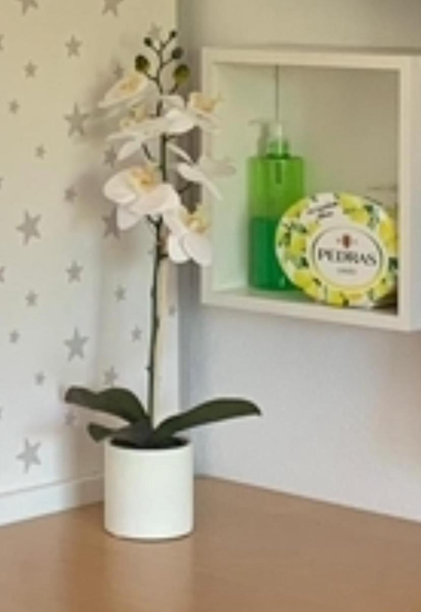 Apartaestudio ויינואבה דל טראבוקו מראה חיצוני תמונה